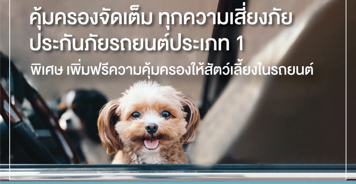 กรุงเทพประกันภัย เข้าใจไลฟ์สไตล์คนยุคใหม่ เพิ่มฟรี “ความคุ้มครองสัตว์เลี้ยง” ให้ลูกค้าประกันภัยรถยนต์ ชั้น 1 ทั้งลูกค้าใหม่และต่ออายุ เริ่มตั้งแต่วันนี้เป็นต้นไป