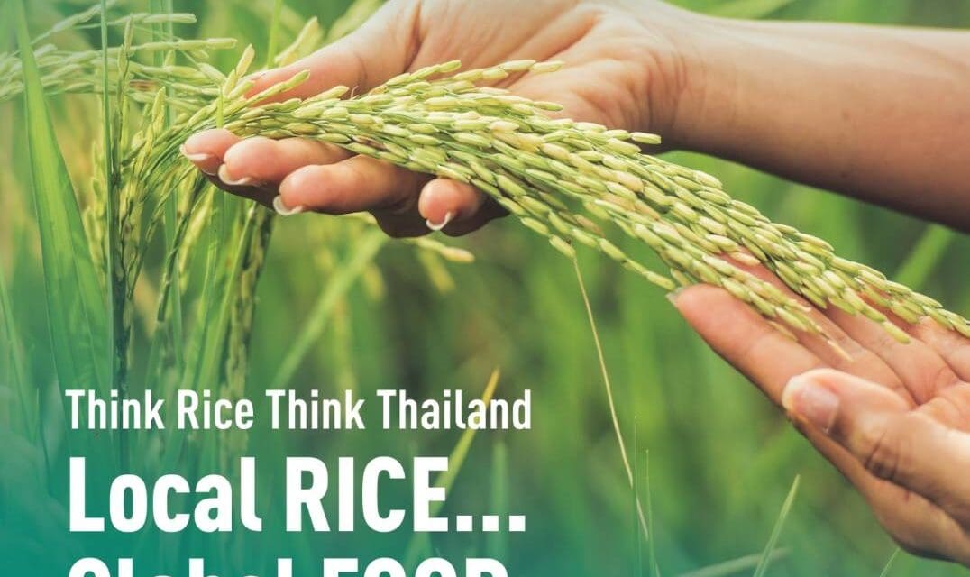 “Thai Rice Networking Forum 2024”