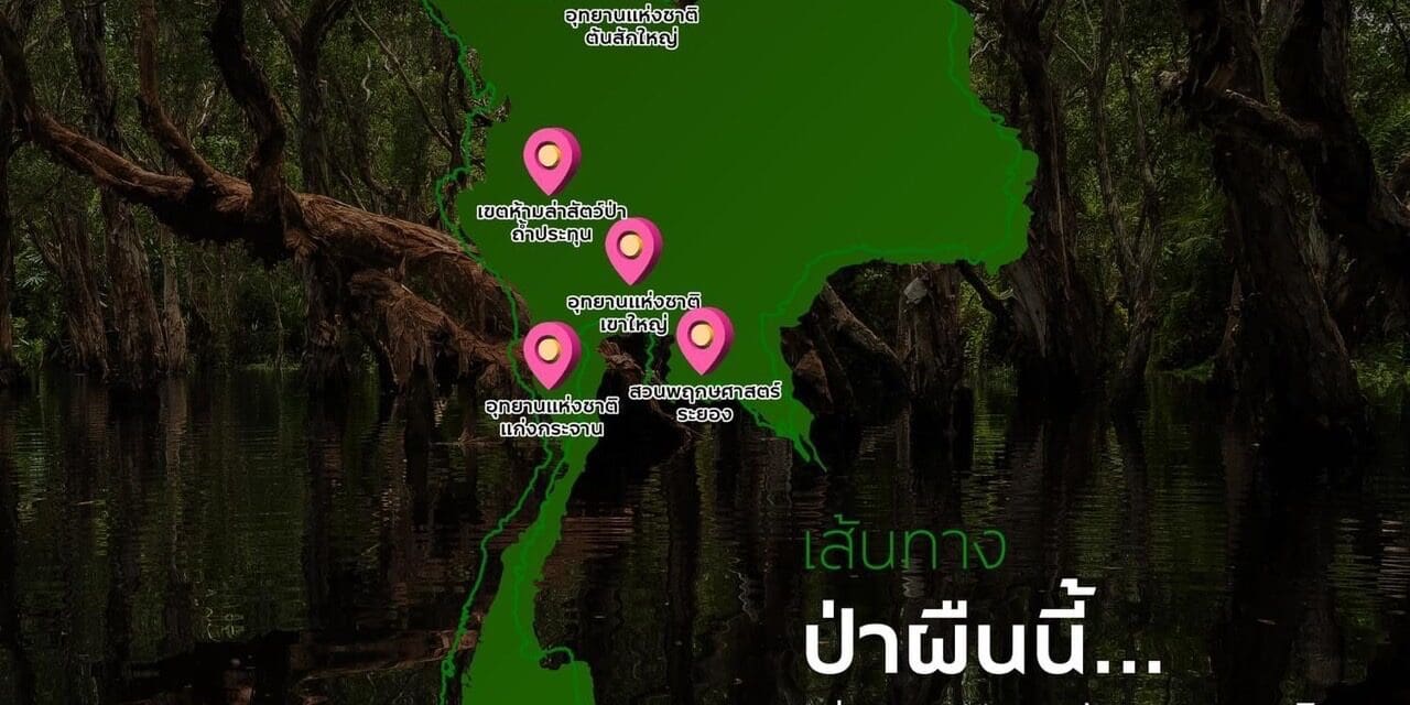 Must Seek ป่าผืนนี้.. มีความมหัศจรรย์