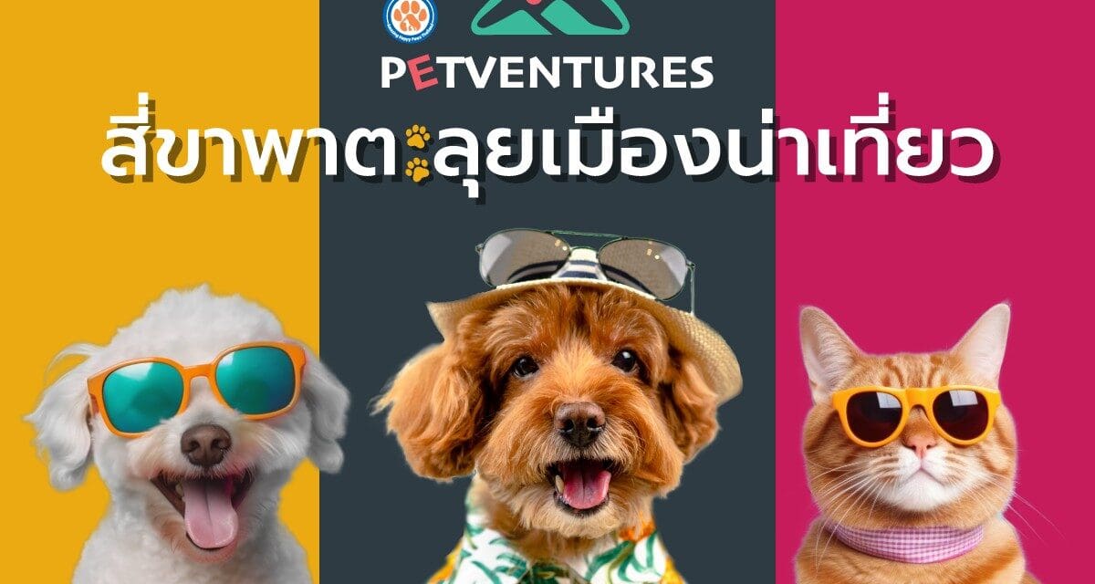 ททท. เปิดตัวโครงการ “Petventures สี่ขาพาตะลุยเมืองน่าเที่ยว” ชวน Pet Parent พามะหมาและแมวเหมียวเที่ยวไทยกันต่อ!!! ด้วยดีลเด็ด ๆ และโปรโมชั่นสุดพิเศษ ตลอดเดือนมีนาคม – เมษายน 2568
