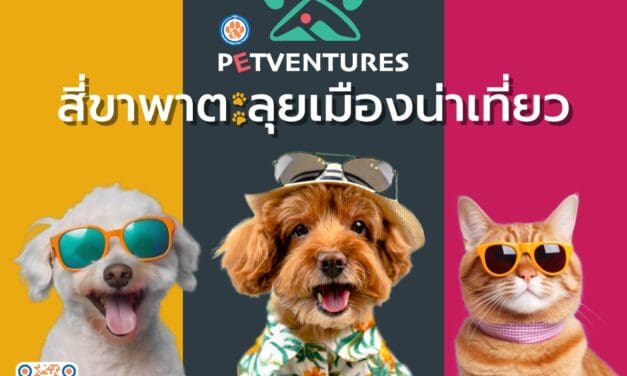 ททท. เปิดตัวโครงการ “Petventures สี่ขาพาตะลุยเมืองน่าเที่ยว” ชวน Pet Parent พามะหมาและแมวเหมียวเที่ยวไทยกันต่อ!!! ด้วยดีลเด็ด ๆ และโปรโมชั่นสุดพิเศษ ตลอดเดือนมีนาคม – เมษายน 2568