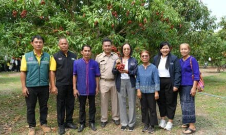 กรมทรัพย์สินทางปัญญาลงพื้นที่แหล่งผลิต  “ลิ้นจี่นครพนม” ผลไม้ GI สินค้าดีเมืองพระธาตุพนม  จับมือกลุ่มพันธมิตร Tops Market ขยายช่องทางการตลาด