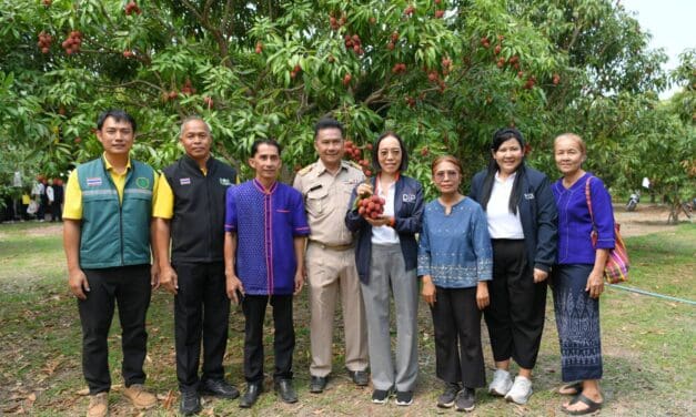 กรมทรัพย์สินทางปัญญาลงพื้นที่แหล่งผลิต  “ลิ้นจี่นครพนม” ผลไม้ GI สินค้าดีเมืองพระธาตุพนม  จับมือกลุ่มพันธมิตร Tops Market ขยายช่องทางการตลาด