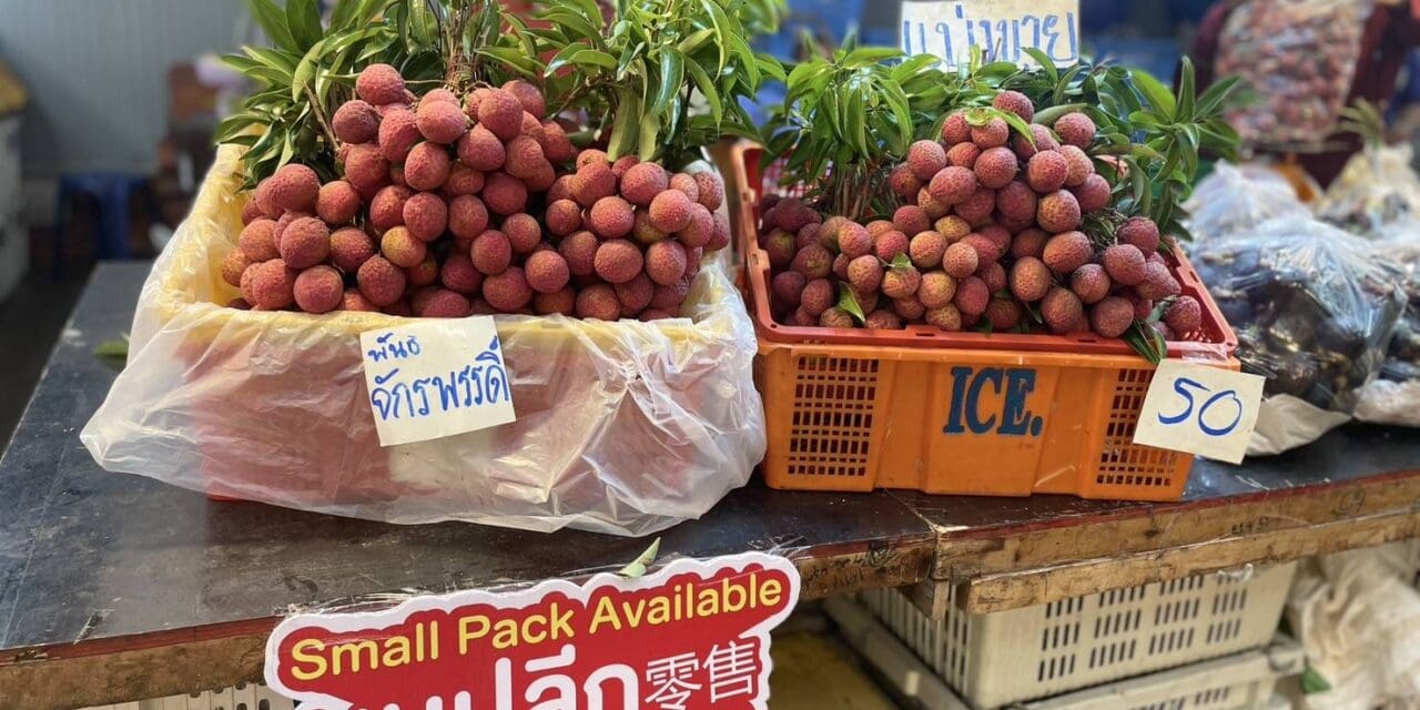 ตลาดสี่มุมเมือง จับมือพันธมิตรภาครัฐ เปิดเทศกาล ‘สี่มุมเมือง ไทยฟรุตเฟส 2025’”  เทศกาลผลไม้ไทยสด ส่งตรงจากสวน สู่ตลาดค้าส่งอันดับหนึ่ง  เชื่อมเกษตรกร–ผู้ค้า–ผู้บริโภค สร้างเครือข่ายการค้าผลไม้ไทยที่เข้มแข็งและยั่งยืน