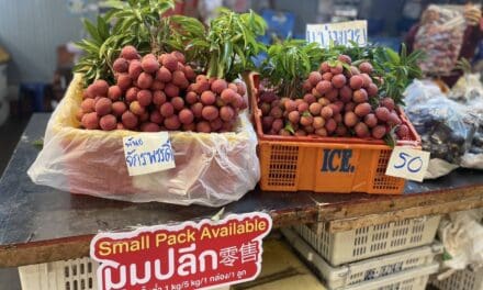 ตลาดสี่มุมเมือง จับมือพันธมิตรภาครัฐ เปิดเทศกาล ‘สี่มุมเมือง ไทยฟรุตเฟส 2025’”  เทศกาลผลไม้ไทยสด ส่งตรงจากสวน สู่ตลาดค้าส่งอันดับหนึ่ง  เชื่อมเกษตรกร–ผู้ค้า–ผู้บริโภค สร้างเครือข่ายการค้าผลไม้ไทยที่เข้มแข็งและยั่งยืน