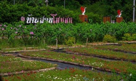 EP.3 เที่ยวได้ทั้งปี วิถีลุ่มภู – อำเภอศรีบุญเรือง จังหวัดหนองบัวลำภู
