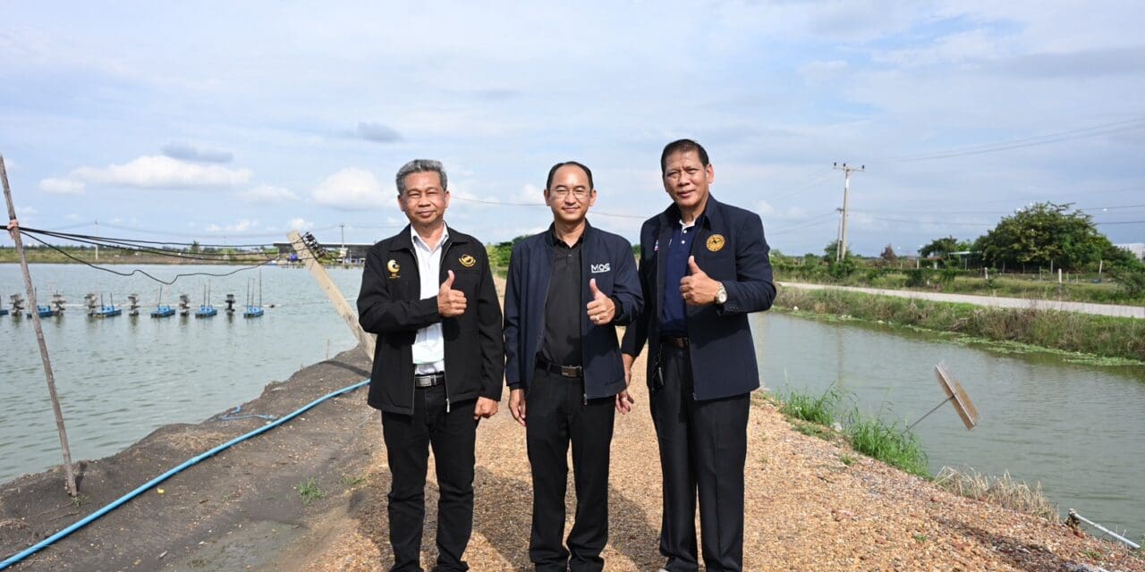 กระทรวงพาณิชย์ ประกาศความสำเร็จ “กุ้งก้ามกรามบางแพ” สินค้า GI จังหวัดราชบุรี สร้างรายได้โตต่อเนื่องในปี 2568