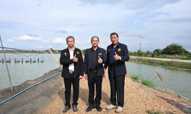 กระทรวงพาณิชย์ ประกาศความสำเร็จ “กุ้งก้ามกรามบางแพ” สินค้า GI จังหวัดราชบุรี สร้างรายได้โตต่อเนื่องในปี 2568