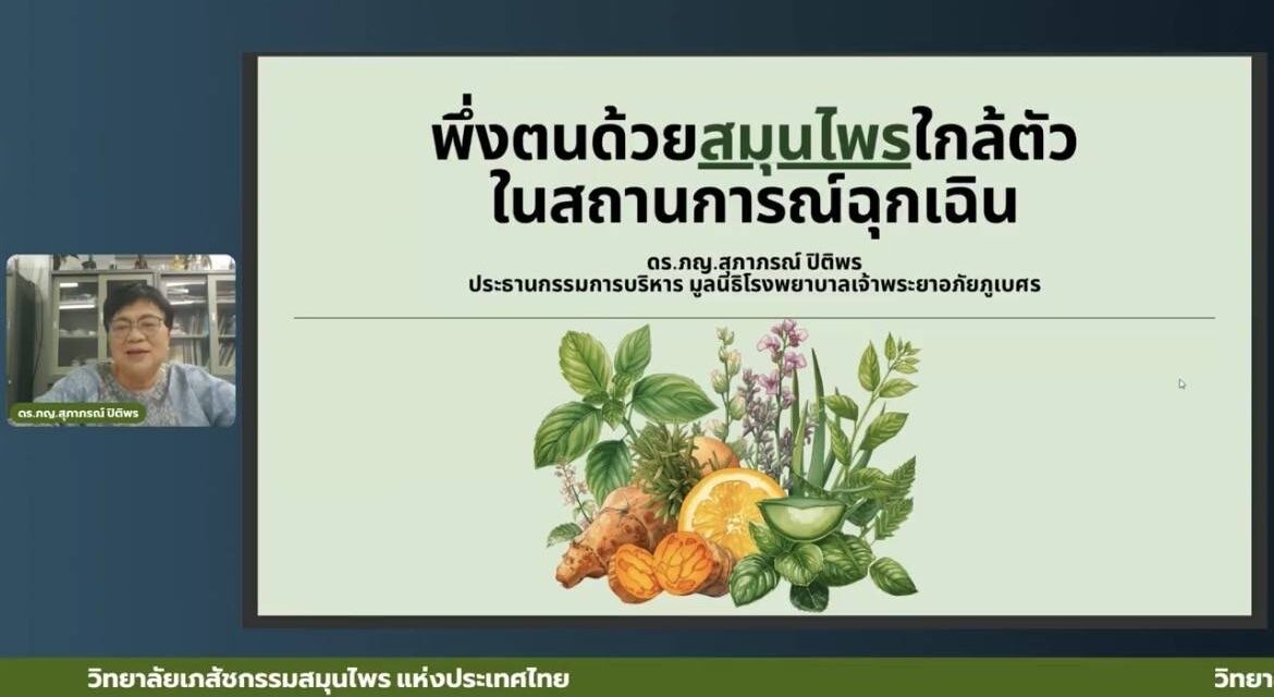 “โลกปั่นป่วน อาจถึงคราวยาขาดแคลน ‘วิทยาลัยเภสัชสมุนไพร อย.–อภัยภูเบศร’ ผนึกกำลัง เปิดสูตรเอาตัวรอด ชู “สมุนไพรใกล้ตัว” ทางรอดสุขภาพไทย แต่ต้องใช้ให้ถูกและปลอดภัย