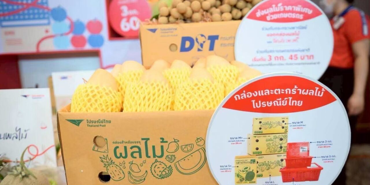 ดีอี – ไปรษณีย์ไทย ผนึกกำลัง กรมการค้าภายใน กระทรวงพาณิชย์ เดินหน้า “ไทยช่วยไทย” กระจายสินค้าราคาประหยัดทั่วประเทศ ขานรับนโยบายรัฐ ลดค่าครองชีพ–หนุนเศรษฐกิจฐานราก