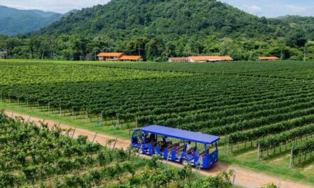 ”Orakitt Waewklaihong” Elevates Khao Yai’s ‘GranMonte’ Wine onto Global Airline Platforms