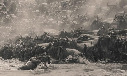 เอปสันเปิดเวทีประกวดภาพถ่ายพาโนรามาระดับโลก  “Epson International Pano Awards” ครั้งที่ 17 ชิงรางวัลรวมกว่า 50,000 ดอลลาร์สหรัฐ
