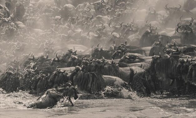 เอปสันเปิดเวทีประกวดภาพถ่ายพาโนรามาระดับโลก  “Epson International Pano Awards” ครั้งที่ 17 ชิงรางวัลรวมกว่า 50,000 ดอลลาร์สหรัฐ