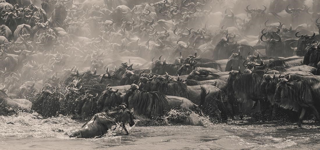 เอปสันเปิดเวทีประกวดภาพถ่ายพาโนรามาระดับโลก  “Epson International Pano Awards” ครั้งที่ 17 ชิงรางวัลรวมกว่า 50,000 ดอลลาร์สหรัฐ