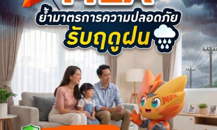 MEA ย้ำมาตรการความปลอดภัยรับฤดูฝน แนะตรวจเช็กไฟฟ้าในบ้าน พร้อมดูแลบริการประชาชนตลอด 24 ชั่วโมง