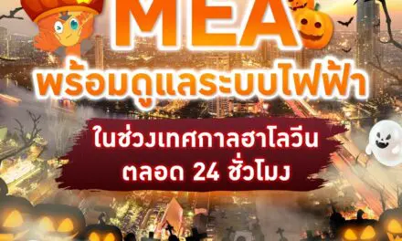 MEA พร้อมดูแลระบบไฟฟ้า ในช่วงเทศกาลฮาโลวีน ตลอด 24 ชั่วโมง