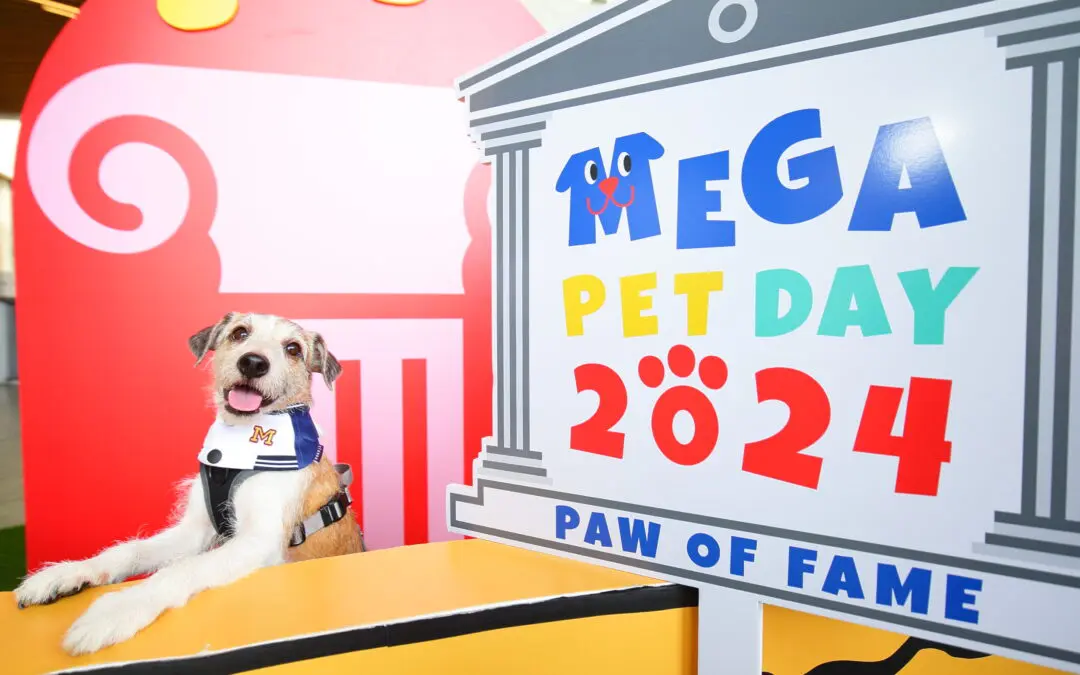 เมกาบางนา ชวนครอบครัวและเหล่าตัวแสบสี่ขา มาเสพงานศิลป์ ป่วนงานอาร์ต  ในงาน MEGA PET DAY 2024 : PAW OF FAME   วันที่ 23 มีนาคม 2567  – 24 มีนาคม 2567