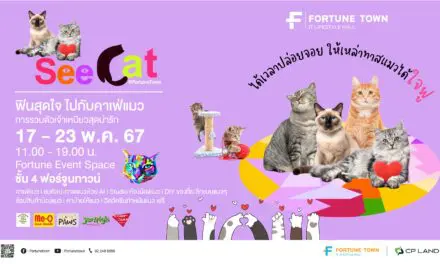 Fortune Town เปิดพื้นที่จัดกิจกรรมแห่งใหม่ Fortune Event Space   ชวนทาสแมวได้ใจฟู กับงาน “See Cat @ Fortune Town”  