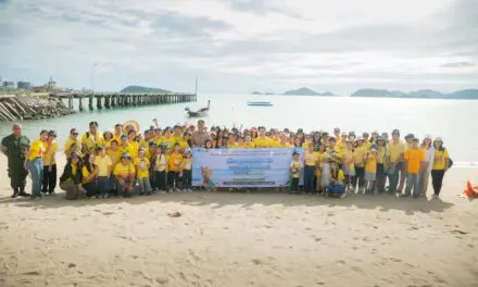 กลุ่มบีเจซี บิ๊กซี จัดโครงการจิตอาสา “เก็บขยะชายหาดทะเลและปล่อยสัตว์ทะเลคืนชีวิตสู่ธรรมชาติ”