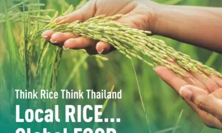 “Thai Rice Networking Forum 2024”