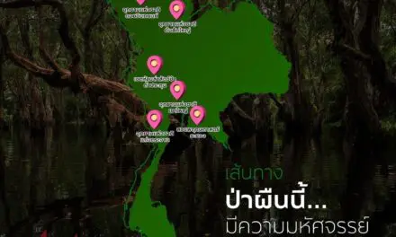 Must Seek ป่าผืนนี้.. มีความมหัศจรรย์