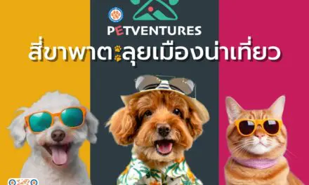 ททท. เปิดตัวโครงการ “Petventures สี่ขาพาตะลุยเมืองน่าเที่ยว” ชวน Pet Parent พามะหมาและแมวเหมียวเที่ยวไทยกันต่อ!!! ด้วยดีลเด็ด ๆ และโปรโมชั่นสุดพิเศษ ตลอดเดือนมีนาคม – เมษายน 2568