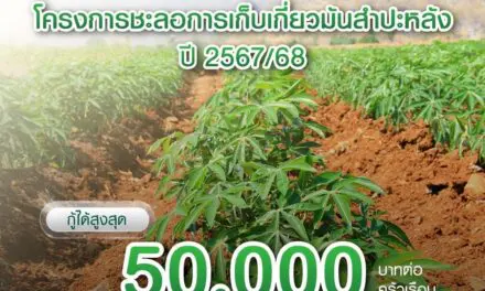 ธ.ก.ส. เดินหน้าโครงการชะลอเก็บเกี่ยวมันสำปะหลัง พร้อมขยายเวลาชำระหนี้  เพิ่มเงินทุนหมุนเวียนช่วยเหลือเกษตรกร