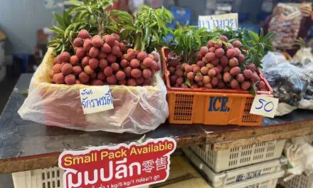 ตลาดสี่มุมเมือง จับมือพันธมิตรภาครัฐ เปิดเทศกาล ‘สี่มุมเมือง ไทยฟรุตเฟส 2025’”  เทศกาลผลไม้ไทยสด ส่งตรงจากสวน สู่ตลาดค้าส่งอันดับหนึ่ง  เชื่อมเกษตรกร–ผู้ค้า–ผู้บริโภค สร้างเครือข่ายการค้าผลไม้ไทยที่เข้มแข็งและยั่งยืน