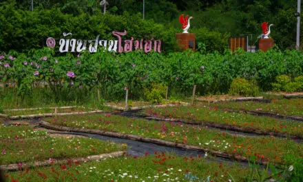 EP.3 เที่ยวได้ทั้งปี วิถีลุ่มภู – อำเภอศรีบุญเรือง จังหวัดหนองบัวลำภู