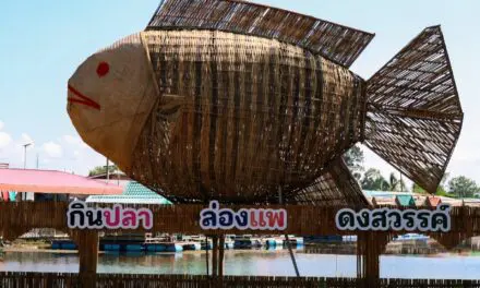 🌾💚 EP.6 เที่ยวได้ทั้งปี วิถีลุ่มภู – อำเภอนากลาง จ.หนองบัวลำภู