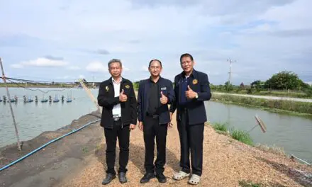 กระทรวงพาณิชย์ ประกาศความสำเร็จ “กุ้งก้ามกรามบางแพ” สินค้า GI จังหวัดราชบุรี สร้างรายได้โตต่อเนื่องในปี 2568