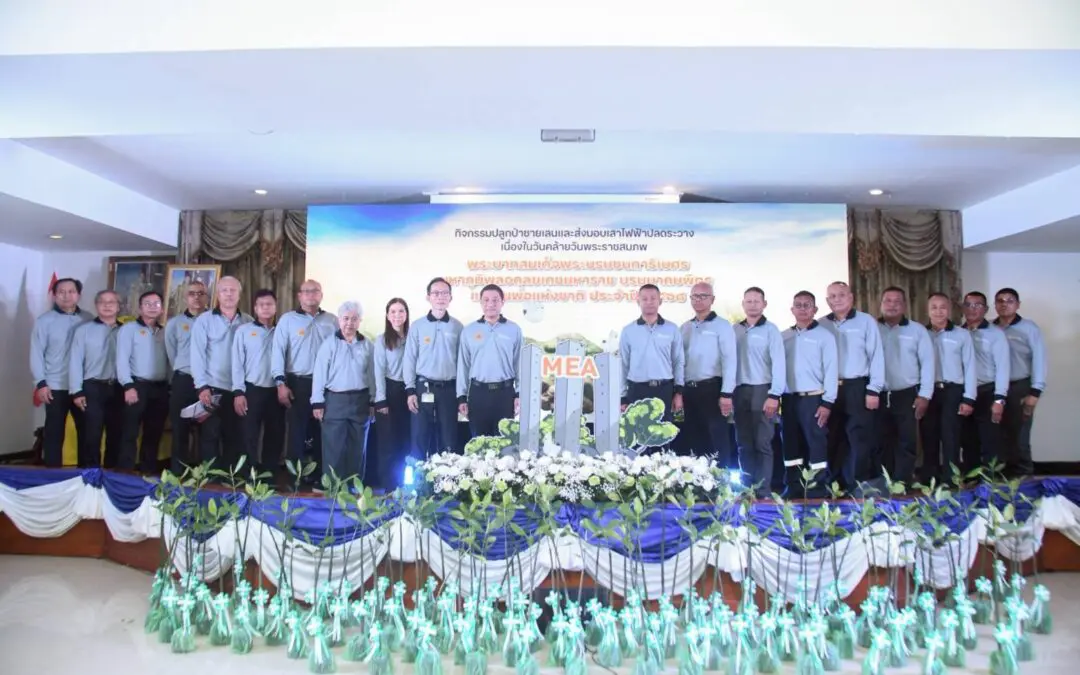 MEA มอบเสาไฟฟ้าปลดระวาง 1,020 ต้น หนุน “MEA’s Model” ปักแนวป้องกันชายฝั่ง พร้อมรวมพลังปลูกป่าชายเลนส่งมอบต้นโกงกาง 1,100 ต้น