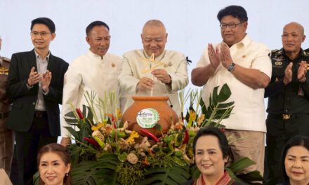 ปราจีนบุรีเปิดเกมรุก “เศรษฐกิจสุขภาพ” ปั้นเมืองสมุนไพรสู่สากล ผนึกทุกภาคส่วนจัด “Prachinburi Wellness Fest 2026” เชื่อม Health & Wellness Economy ของประเทศ