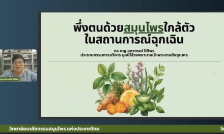 “โลกปั่นป่วน อาจถึงคราวยาขาดแคลน ‘วิทยาลัยเภสัชสมุนไพร อย.–อภัยภูเบศร’ ผนึกกำลัง เปิดสูตรเอาตัวรอด ชู “สมุนไพรใกล้ตัว” ทางรอดสุขภาพไทย แต่ต้องใช้ให้ถูกและปลอดภัย