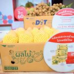 ดีอี – ไปรษณีย์ไทย ผนึกกำลัง กรมการค้าภายใน กระทรวงพาณิชย์ เดินหน้า “ไทยช่วยไทย” กระจายสินค้าราคาประหยัดทั่วประเทศ ขานรับนโยบายรัฐ ลดค่าครองชีพ–หนุนเศรษฐกิจฐานราก